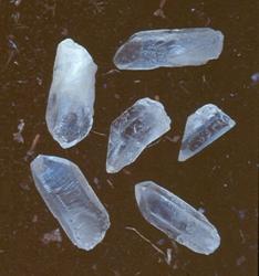 Dvergsmedene i Kvernberghammaren