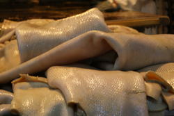 "Det var dyrt, men vi lærte litt vi også.."