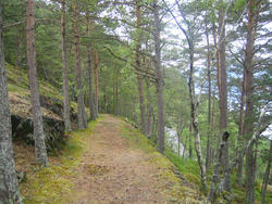 Grendavegen mellom Bjotveit og Bu