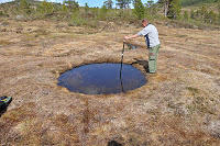 Brenning av tjære i myrmile - ein midtnorsk spesialitet?