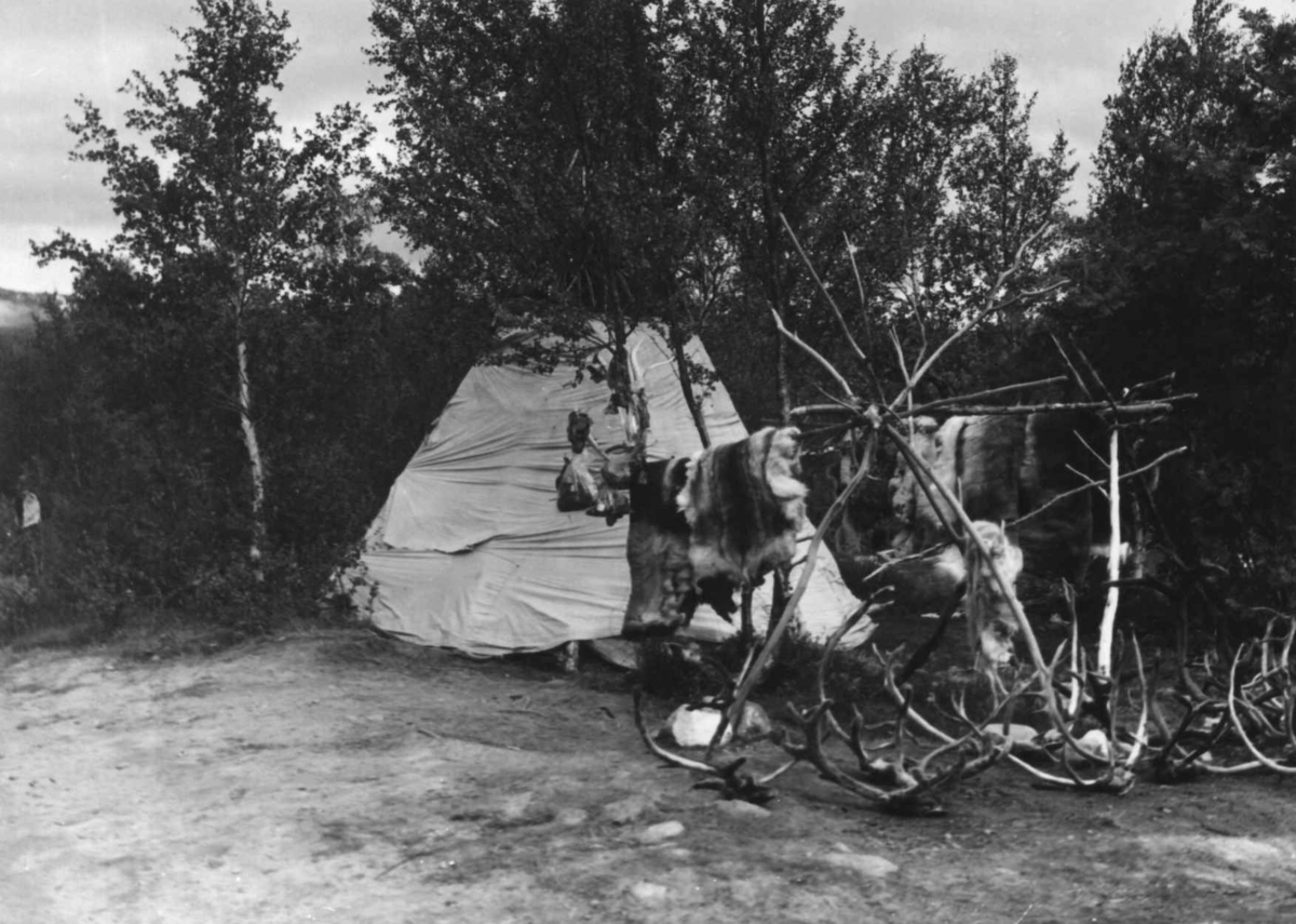 Ella Blinds souvernirsalg med telt og varer. Lønsdal 1964.