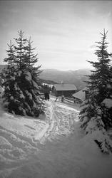 Vintermotiv. Utsikt fra skiløype ved gården Ligardshaugen 19