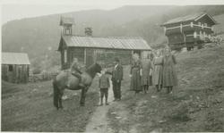 Gruppeportrett, familiebilde med hest, Nørstebø, Uvdal, Nore