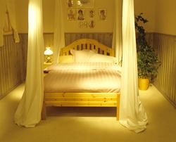 Himmelseng i furu.  Illustrasjonsbilde fra Nye Bonytt 1989.