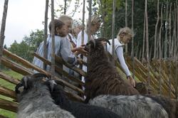 Levendegjøring på museum.Sauene mates.
Ferieskolen uke 32.