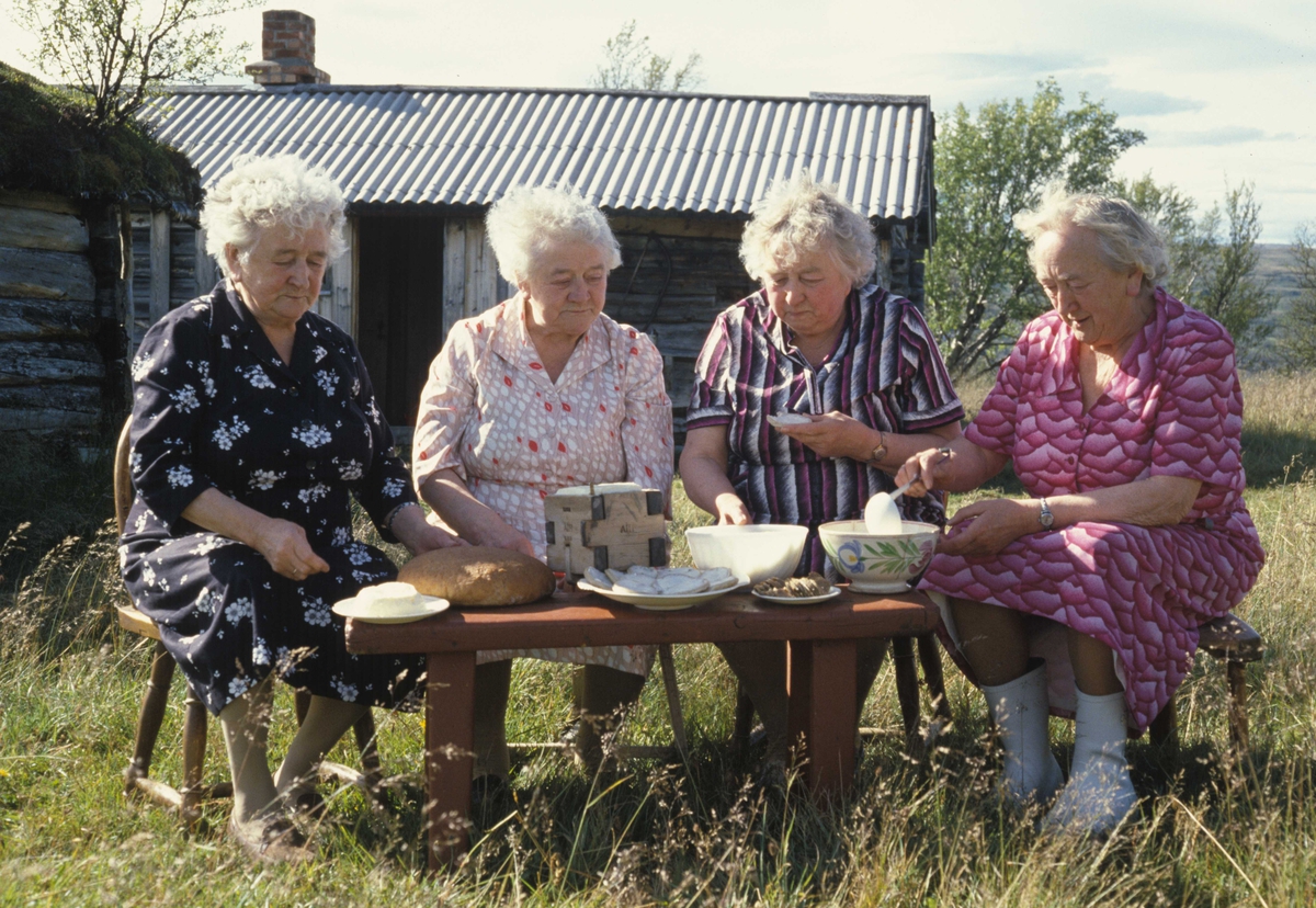 Søstrene, f.v Kari Endavoll, Berit Voll, Marit Setermo og Inga Enodd  med tradisjonell Budalsmat.