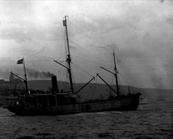 Skip med seil og damp. Natvigs dampskip.