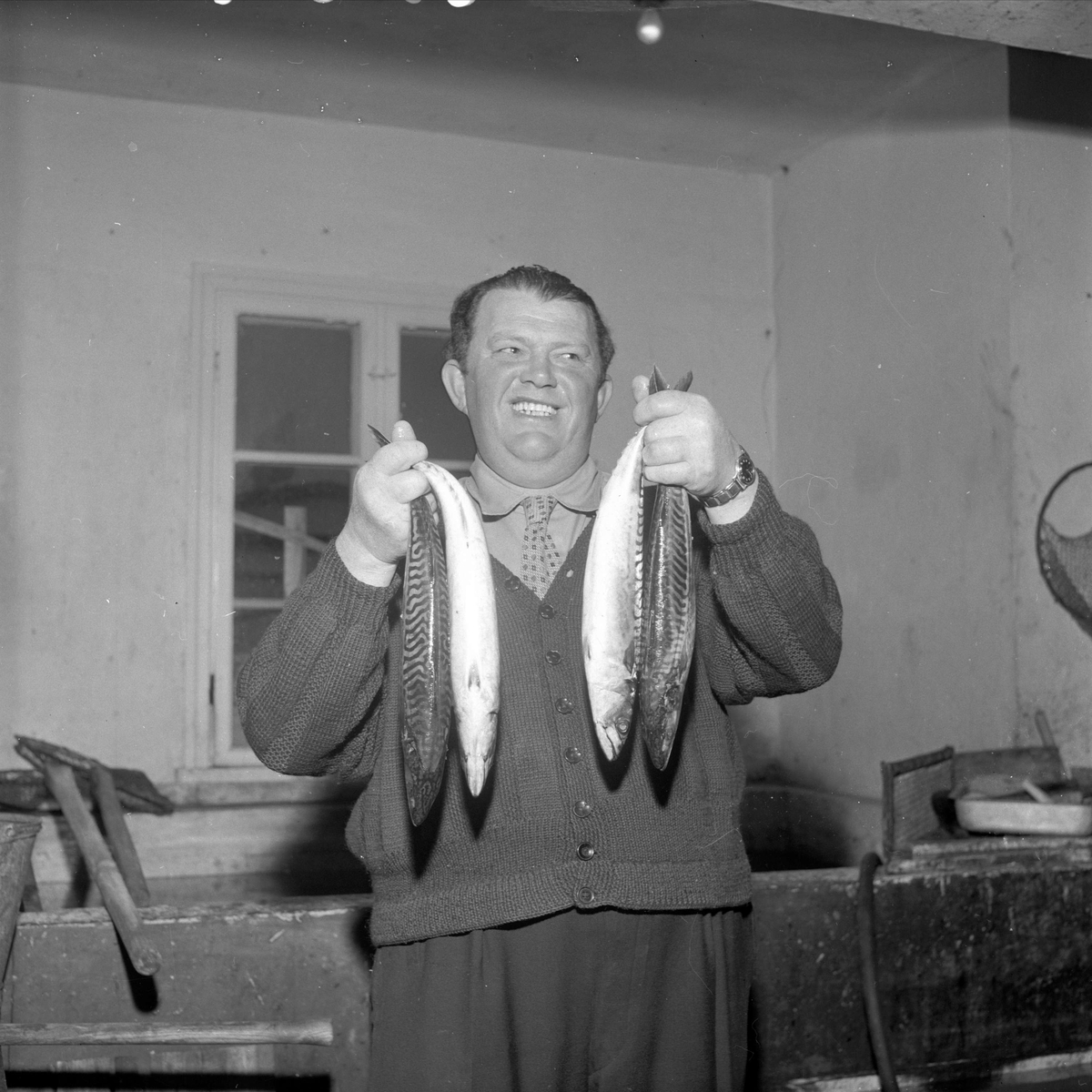 Arendal, 23.05.1958. Mann med fisk, makrell, antakelig hos fiskehandler.