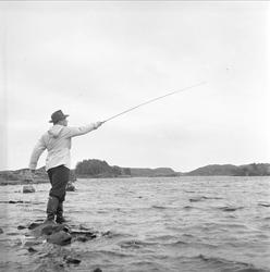 Skudeneshavn, Karmøy, Rogaland, 29.05.1954. Sportsfisker.