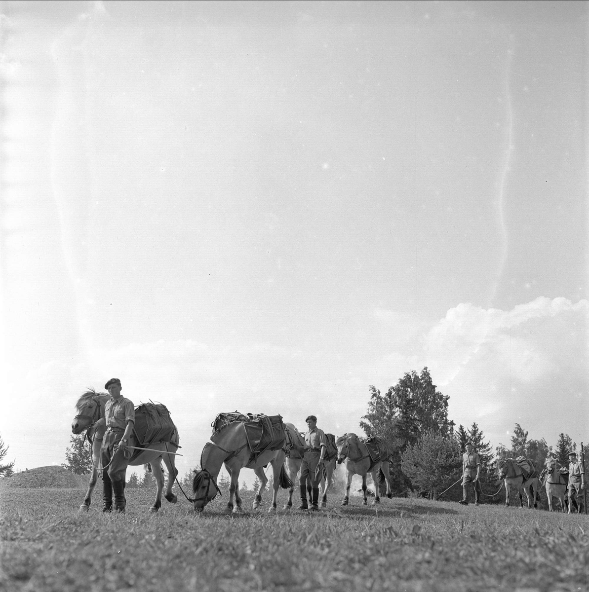 Starum, Østre Toten, Oppland, 07.07.1956. Pakkhester og soldater.
