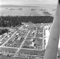 Ekeberg, Oslo, 11. juni 1959, landbruksutstilling, flyfoto o