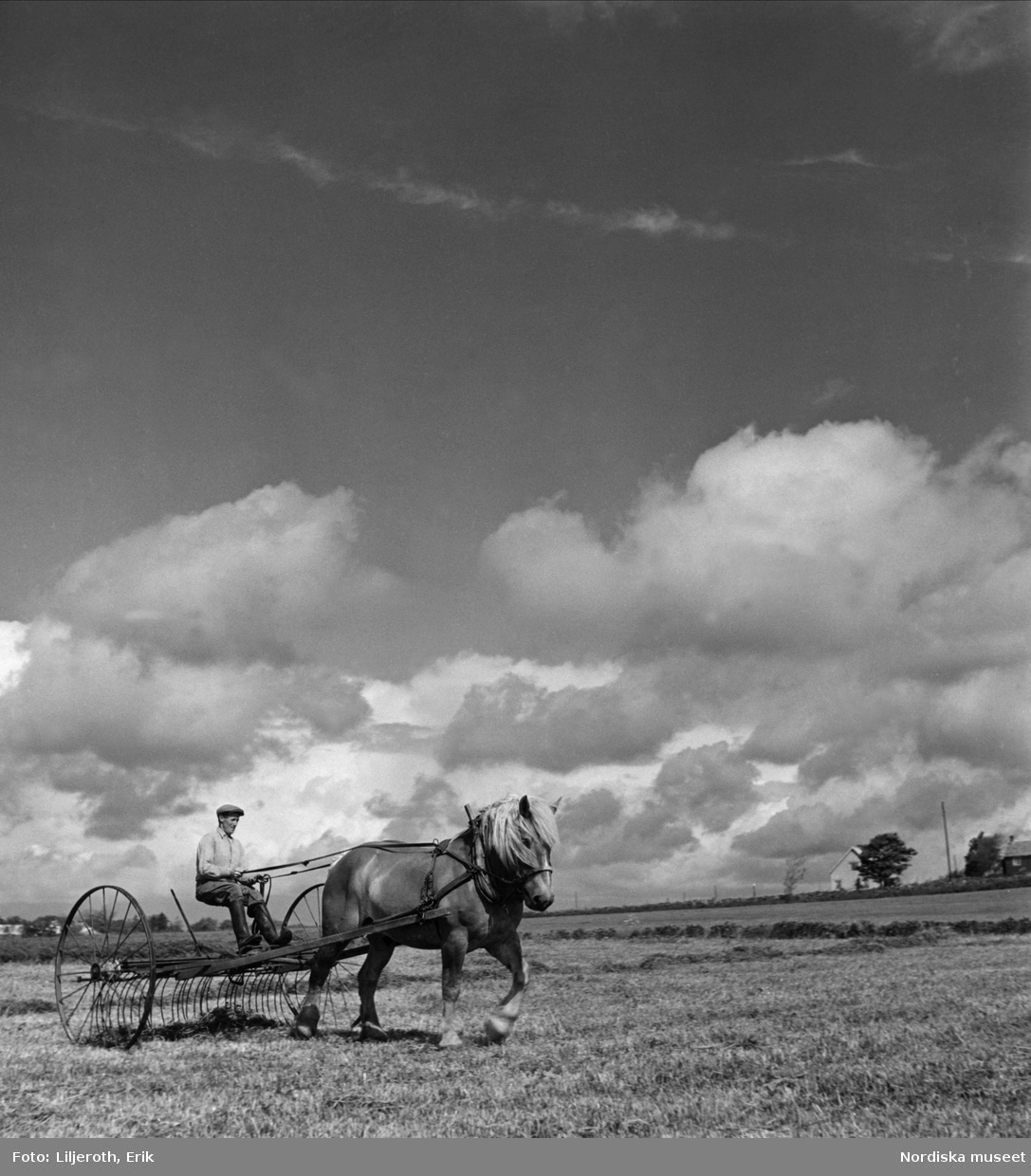 Hästdragen hjulräfsa på slättbygden vid Lösen kyrka i östra Blekinge