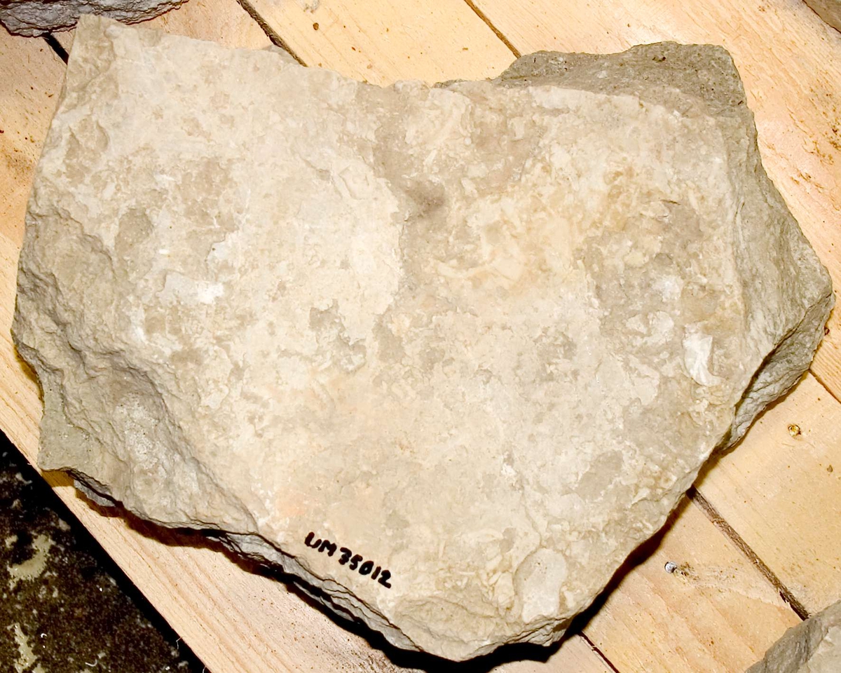 Två fragment av kalksten, sannolikt delar till gravhäll.  Del 1: längd 37 cm, bredd 30 cm, höjd 15 cm. Del 2: längd 40 cm, bredd 30 cm, höjd 15 cm. 