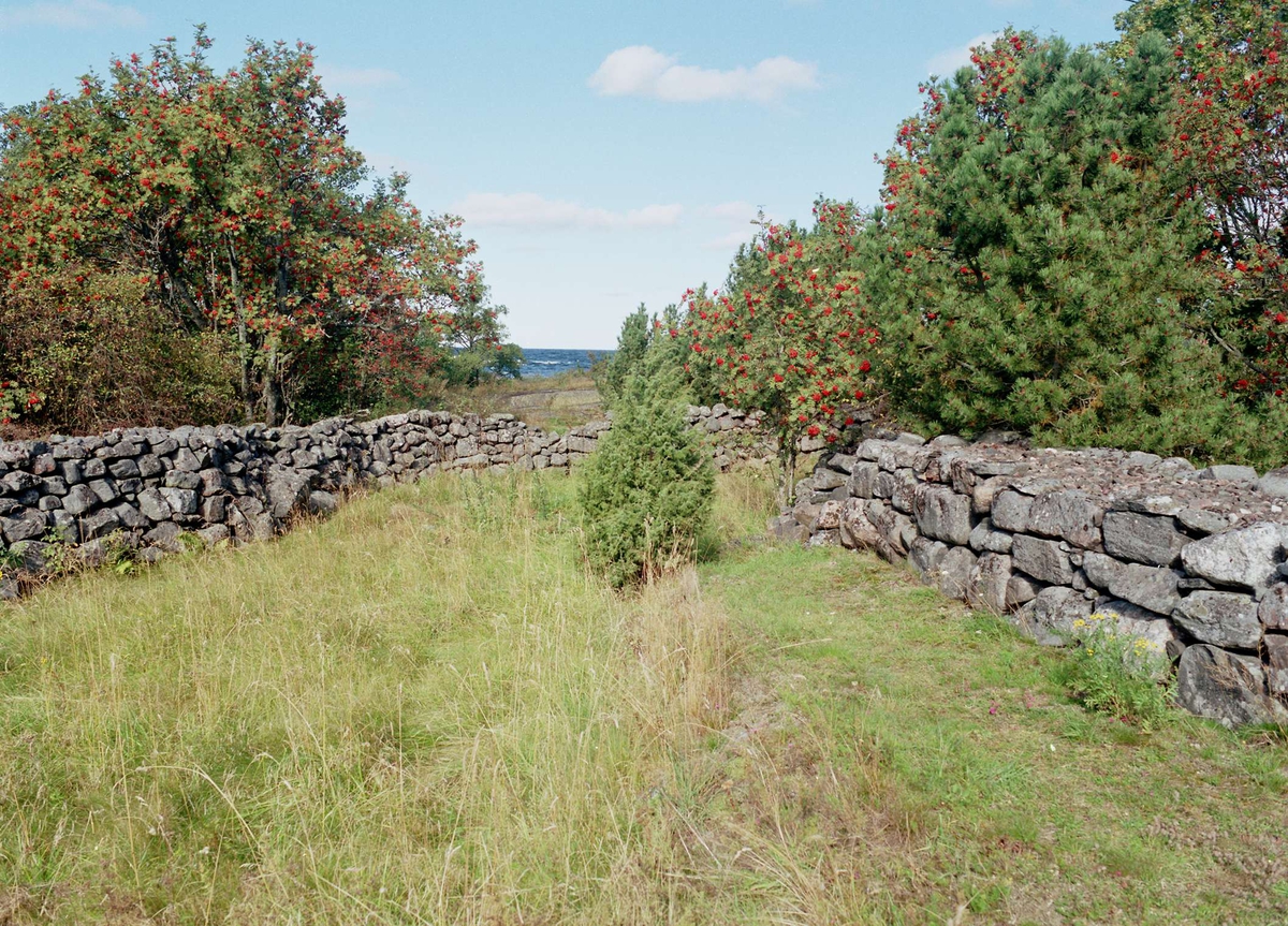Stenmurar på Björns fyrplats, Hållnäs socken, Uppland 2000