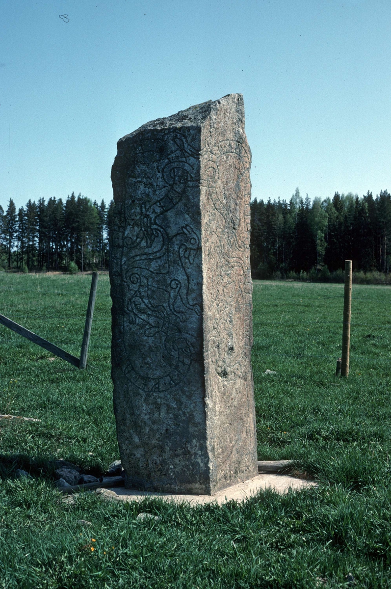 Runblock vid Tjursåker, Vårfrukyrka socken, Uppland 1993