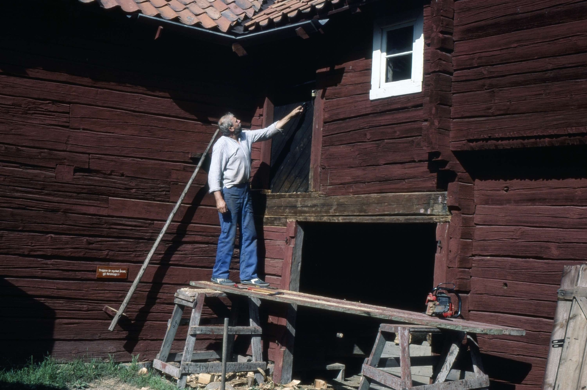 Bengt Ahlström restaurerar drängkammaren på friluftsmuseet Disagården, Gamla Uppsala 1985