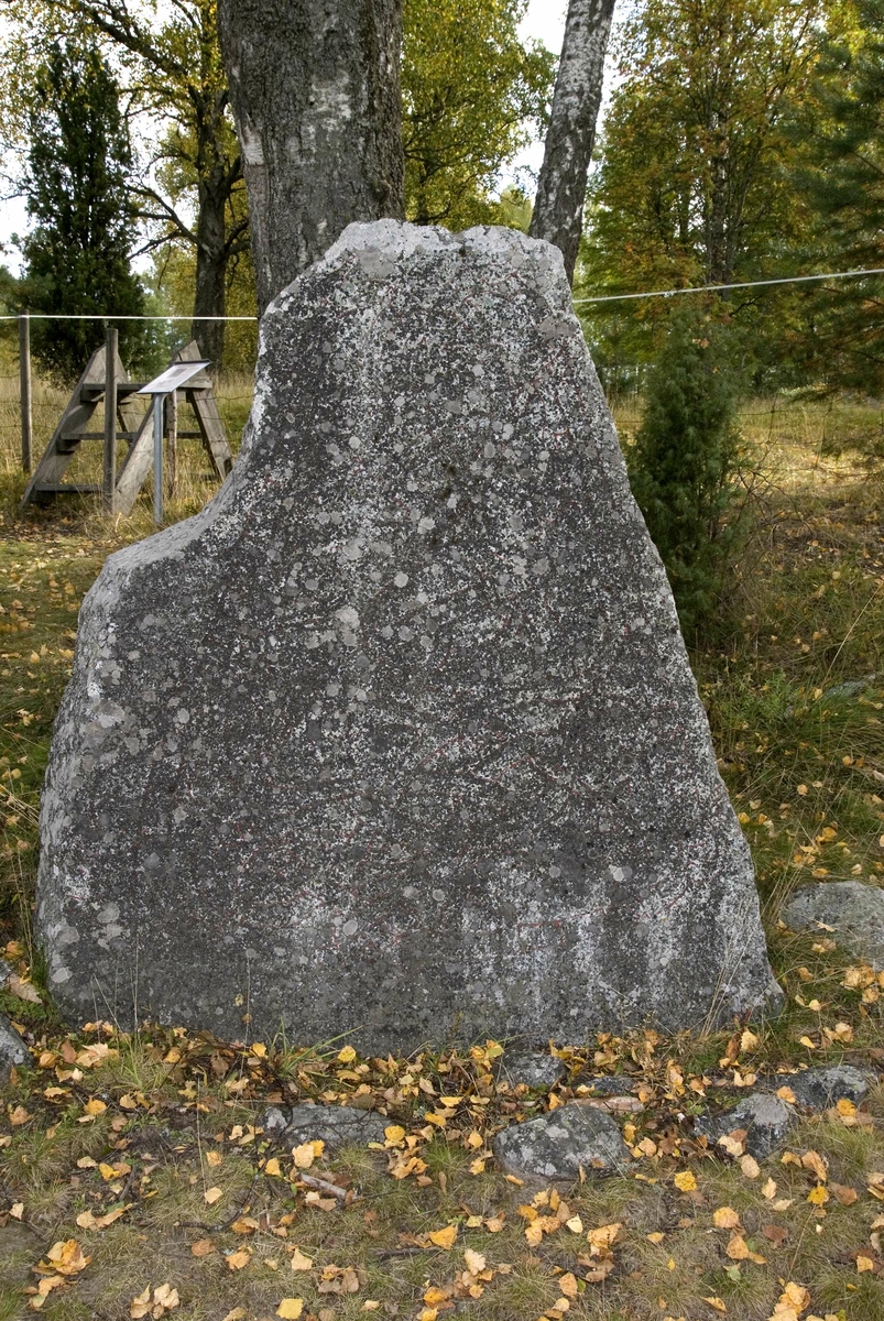 Runstenen U1174 i Stora Ramsjö, Vittinge socken, Heby kommun, Uppland