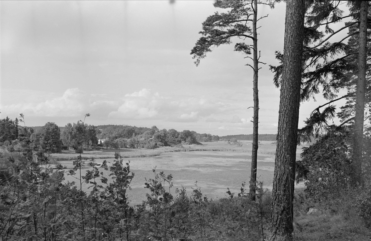 Landskapsvy över Fyrisån, Kronåsen, Uppsala
