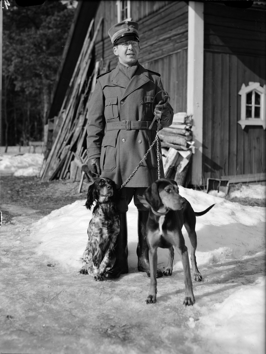 Militärklädd man med hundar, Uppland 1941
