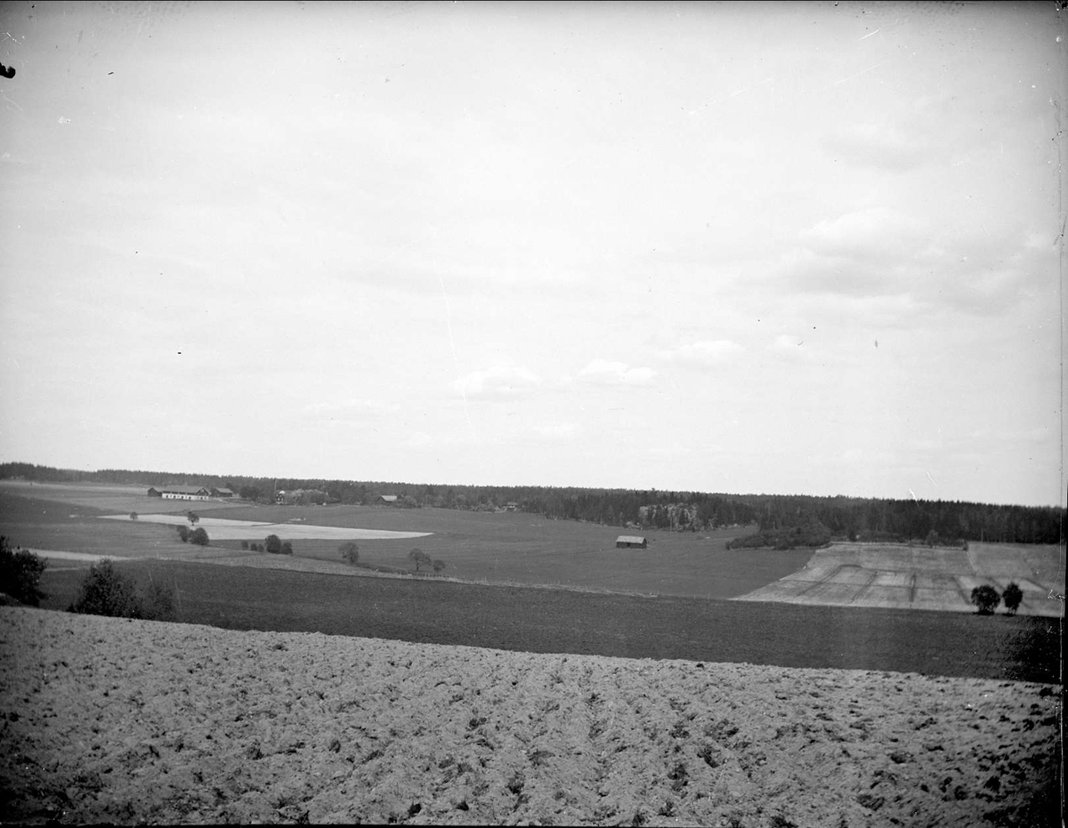 Landskapsvy med Borgberget, Altuna socken, Uppland maj 1919