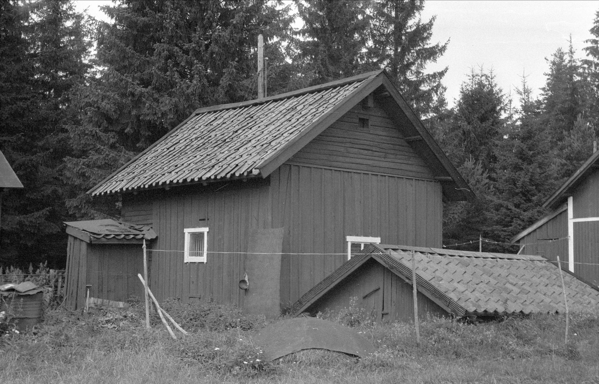 Före detta fähus, hemlighus och jordkällare, Karlberg, Lytta 1:7 och 1:12, Lytta, Bälinge socken, Uppland 1976