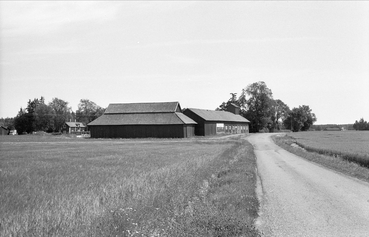 Vy över Gäsmesta 1:7, Börje socken, Uppland, 1983