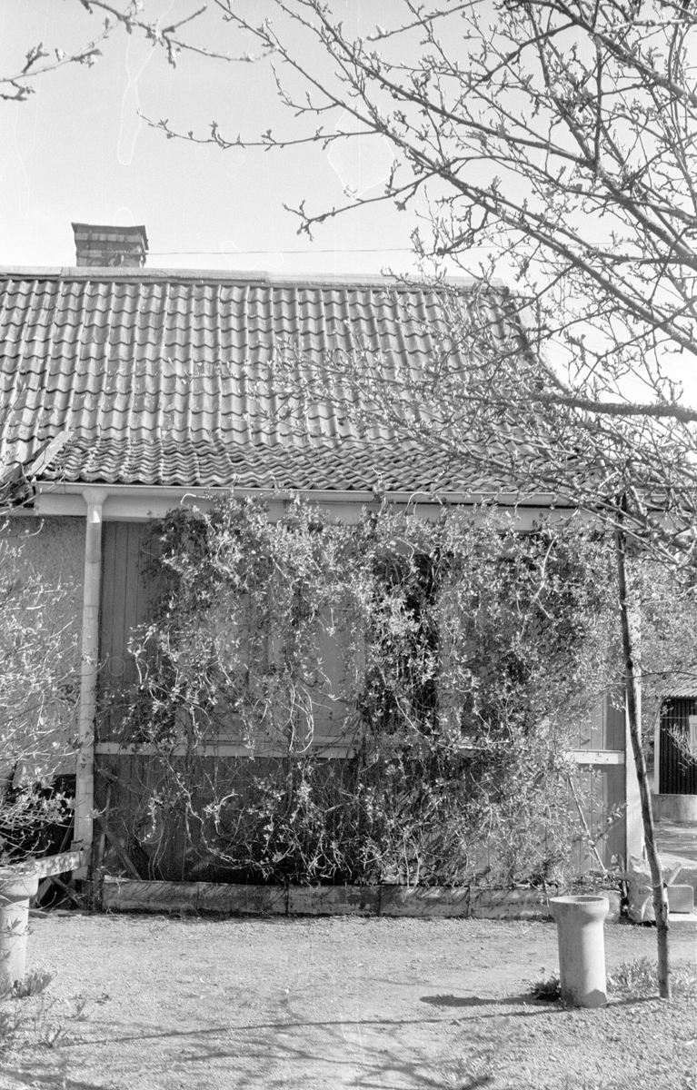 Stuga, Ektomt, Årby 5:4, Årby, Lena socken, Uppland 1977