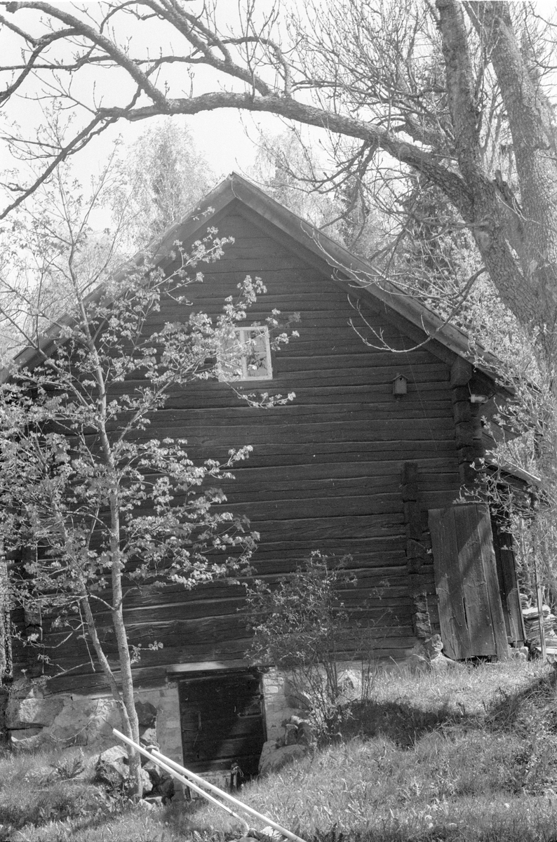Bod med jordkällare, Liss-Kårbo, Lena socken, Uppland 1977