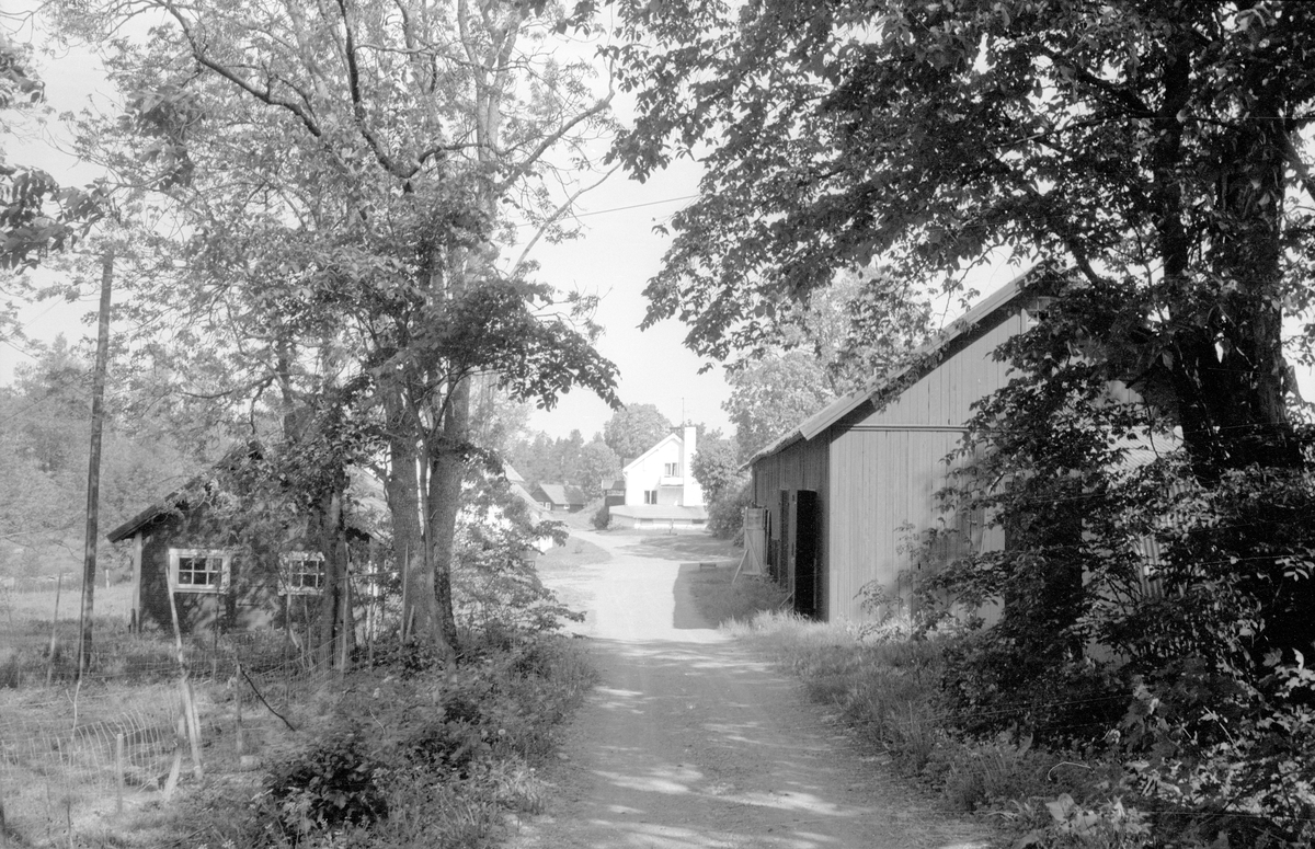Kalvhus och före detta stall - loge - lada, Ekeby kvarn, Fullerö 23:13, Ekeby, Gamla Uppsala socken, Uppland 1977