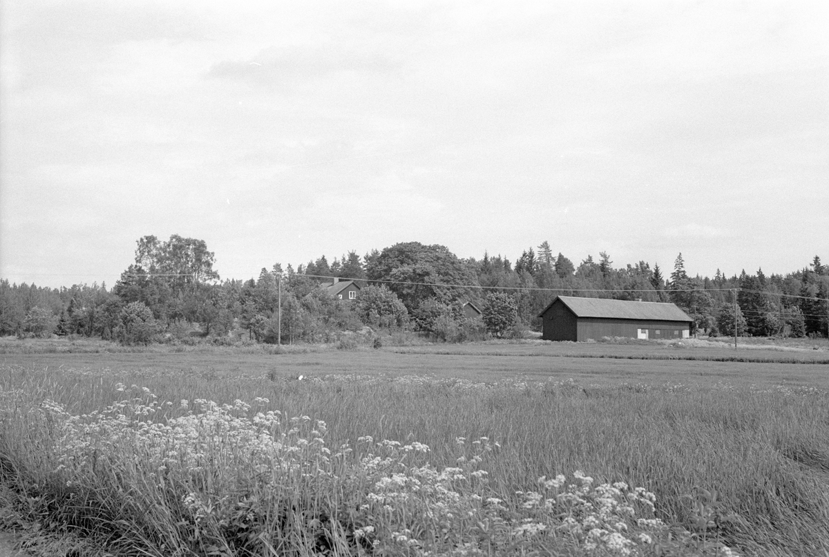 Vy över Norränge, Burvik, Knutby socken, Uppland 1987
