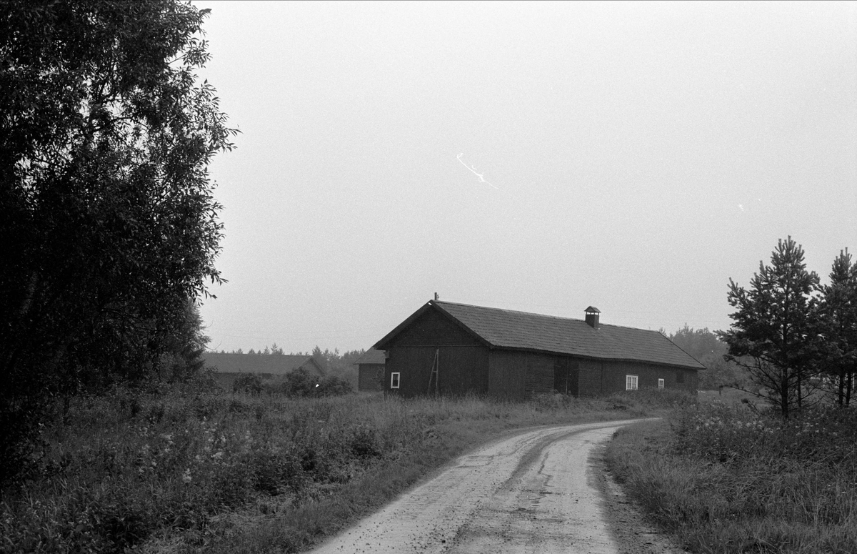 Loge och ladugård, Kolarmora 1:3 A, Bladåkers socken, Uppland 1987