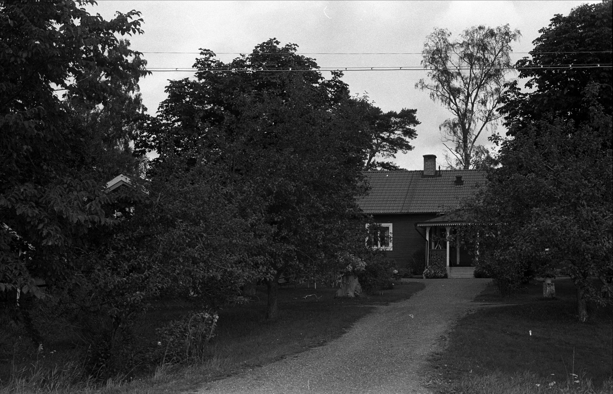 Vy över Lövhagen, Uddnäs 1:3, Almunge socken, Uppland 1987