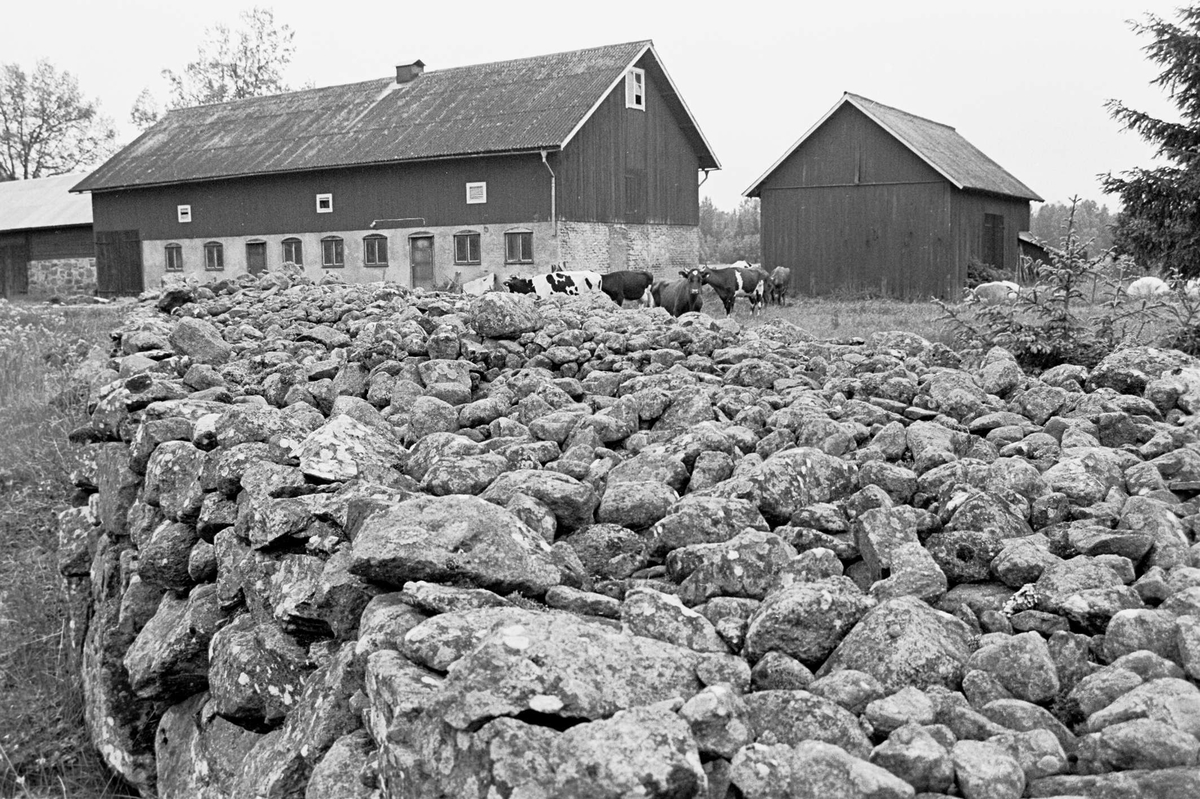 Vällagd stenmur och ekonomibyggnader, Hållen, Hållnäs socken, Uppland 2000