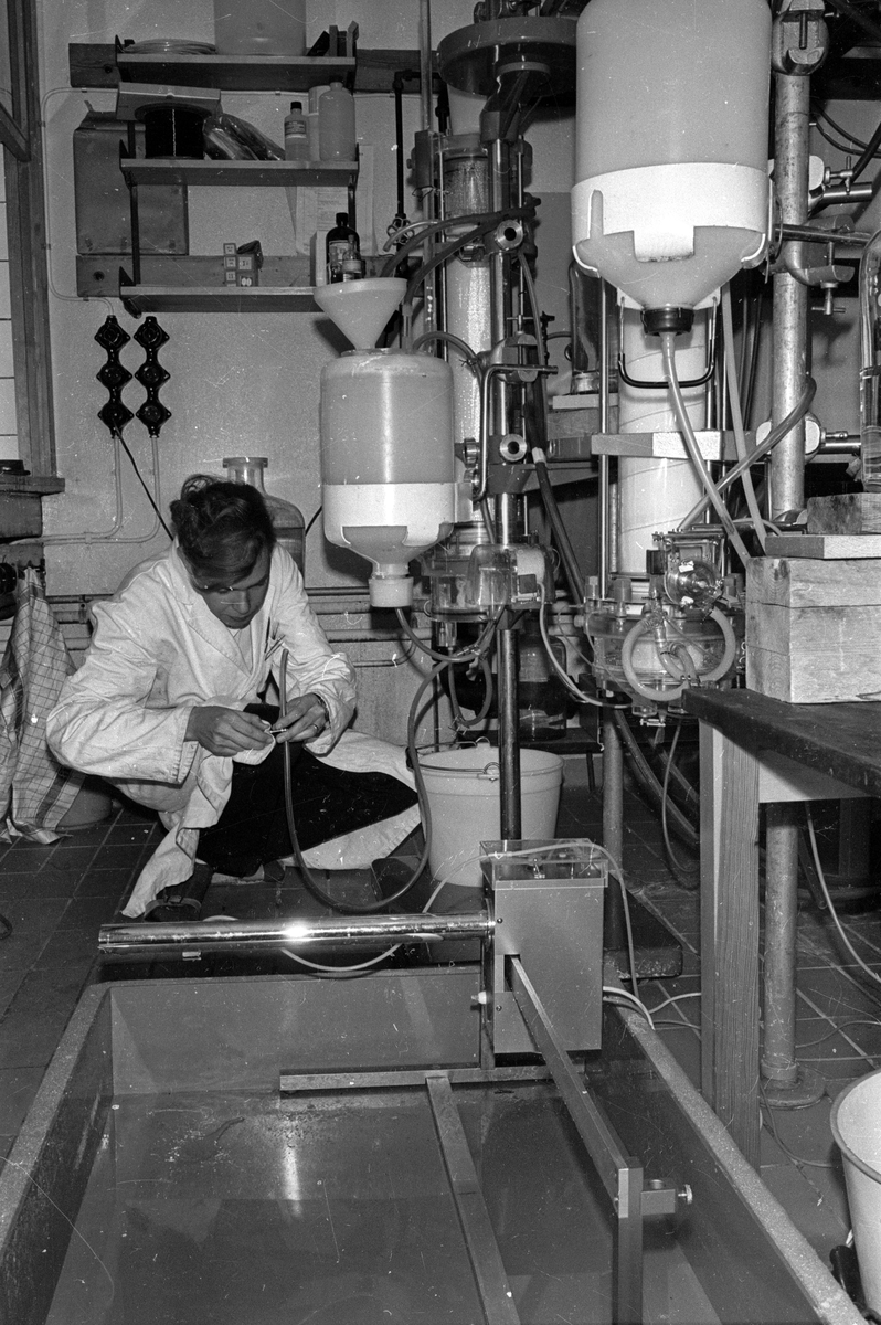 Kemist i arbete vid den Biokemiska institutionen vid Uppsala universitet, juni 1965