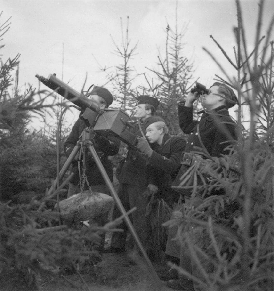 Övning med luftvärnskulspruta i eldställning från granbuskage. Fyra soldater vid kulspruta under 'Skånemanövern' 1939.