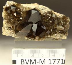 Mineral