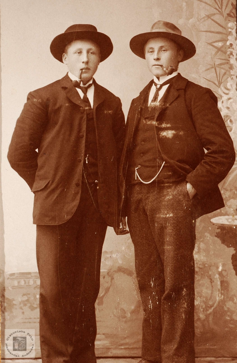 Portrett av brødrene Torstein og Ola Haaland fra Grindheim.