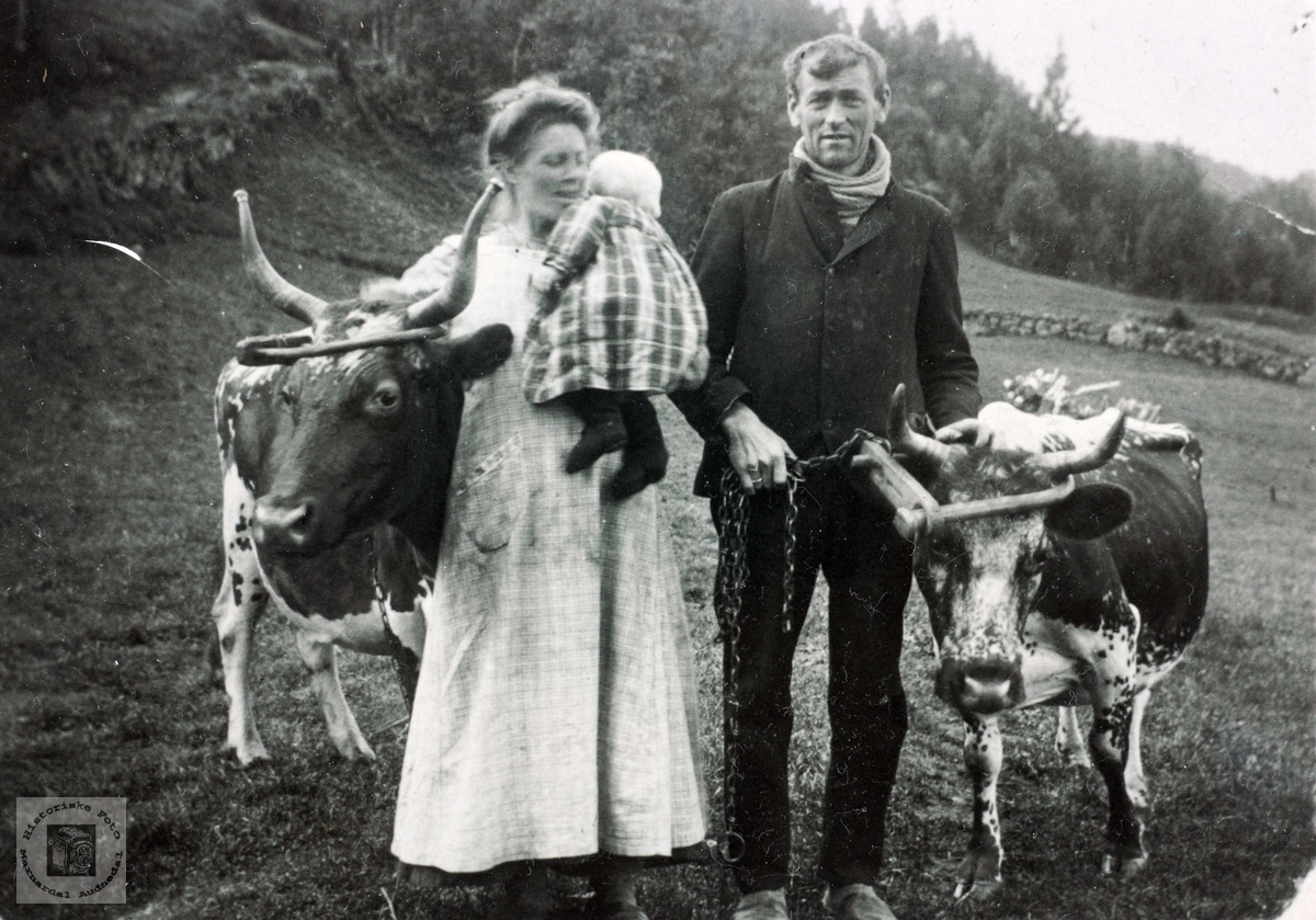 Familien Anna d.y Seland og Torjus Solberg, med den lille Ole, og buskapen. Grindheim Bjelland Audnedal.