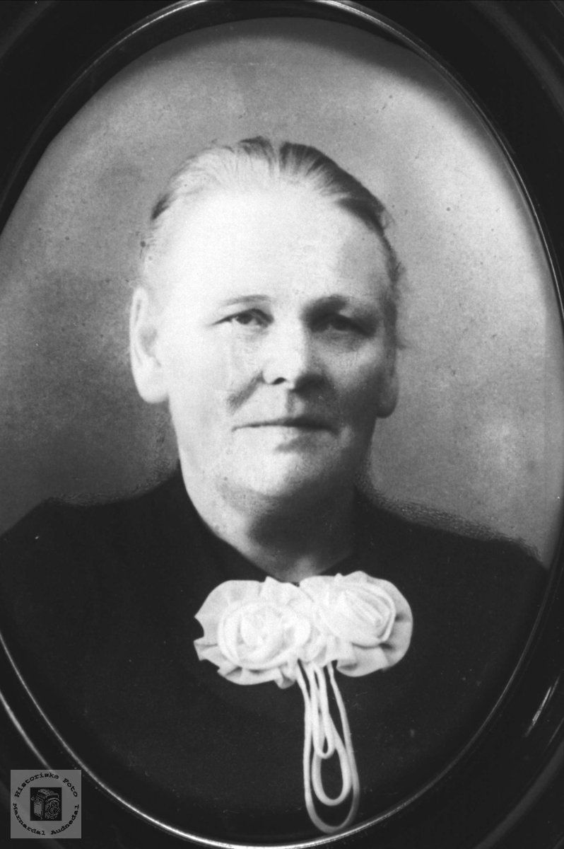 Portrett av Berte Katrine Skoddan, Øyslebø.