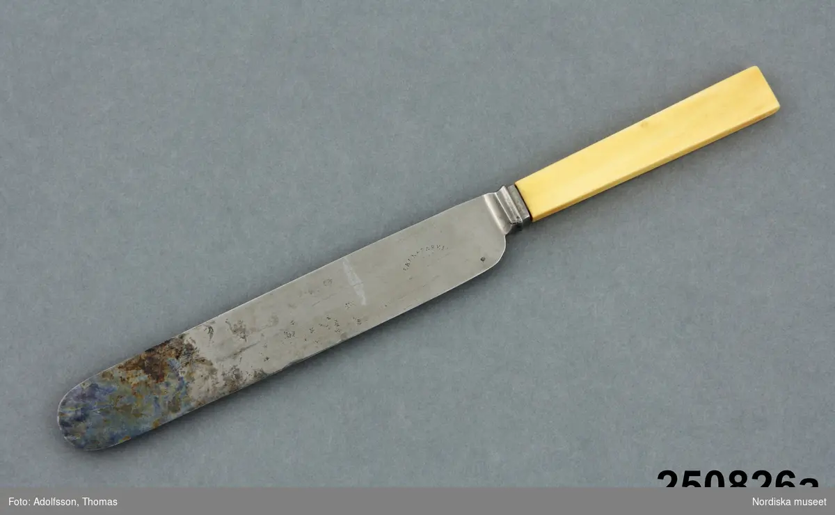 Bordskniv