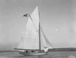 Svalen, kongens yacht