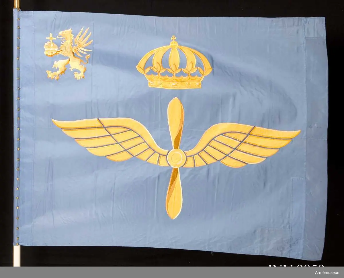 Av blått siden och har en söm i mitten. Motivet är flygvapnets vingar (1200 mm ) i gult siden  med dekorationer i silke i blå och gula nyanser. Vingarna kröns av en kunglig krona. I inre övre hörnet finns en grip som håller riksäpplet i sin hand allt broderat i gul-bruna silke nyanser. Stången är delbar och doppskon är märkt "Kungl. Södertörns Flygflottilj".