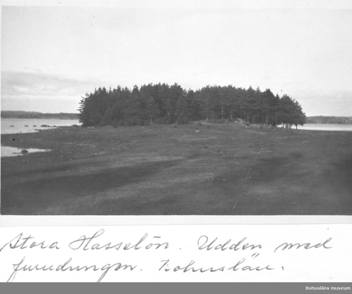 Text till kortet: "Stora Hasselön. Udden med Furudungen. Bohuslän"