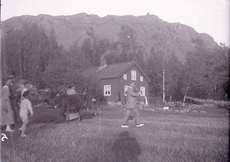 Enligt text som medföljde bilden: "Norr Hamre Utfärd 1918/1919."