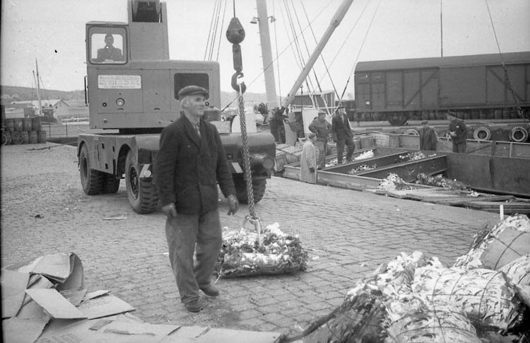 Enligt fotografens notering: "Plåtskrot lastas i Lysekil 8/11 1963".