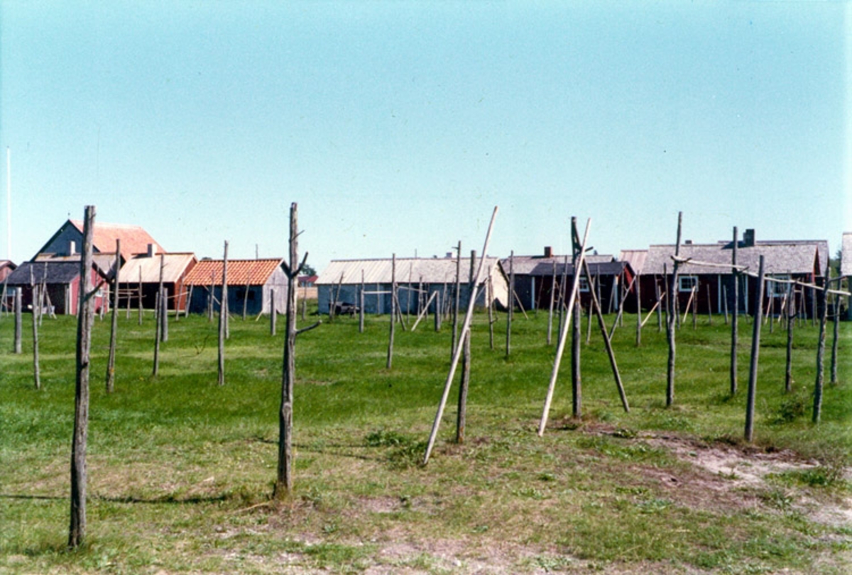 Skrivet på baksidan: Kronvalls fiskeläge, Gotland 1972
