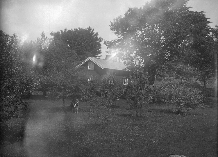 Enligt senare noteringar: "Änga i Forshälla (boningshuset och trädgården), 9/7 1916."