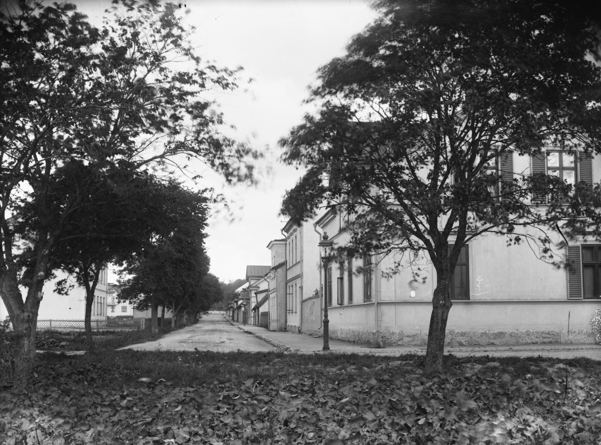 Västra Ringgatan, Enköping, vy från sydväst och något nedanför Ågatan, ca 1903-1911