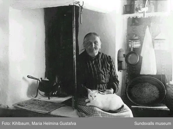 Porträtt, äldre kvinna i köksmiljö med katt i knät.