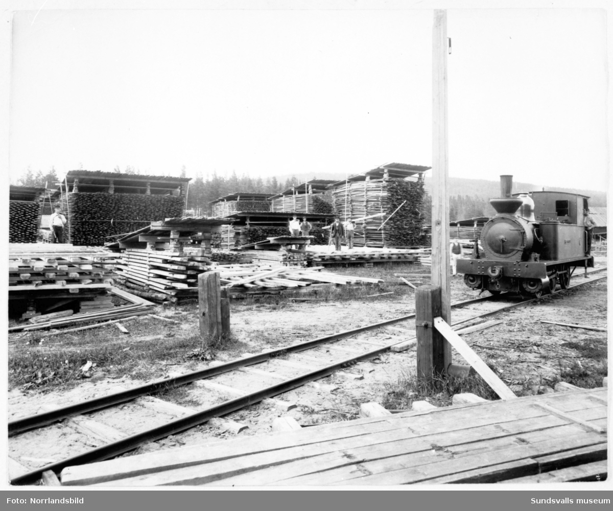 Sågverksarbetare vid Gustavsbergs sågverk 1908, brädstaplar med ånglok. Reprobilder.